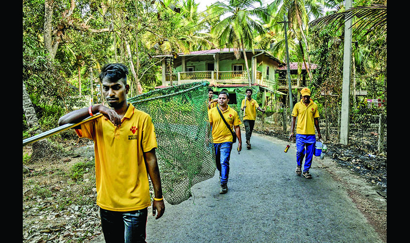 Workers with the nonprofit Mission Rabies catch stray dogs to vaccinate them against the disease in Goa, India. (Atul Loke/The New York Times)