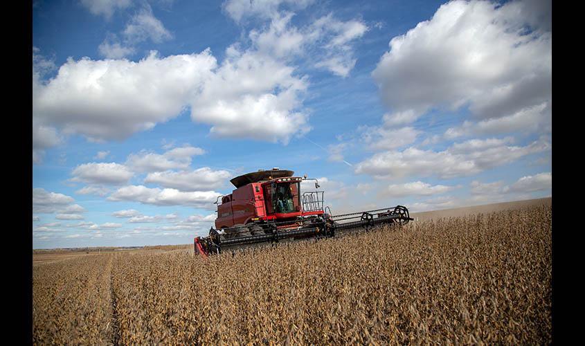 Soybeans are harvested outside of Salina, Kan., Nov. 2, 2018. (Christopher Smith/The New York Times)
