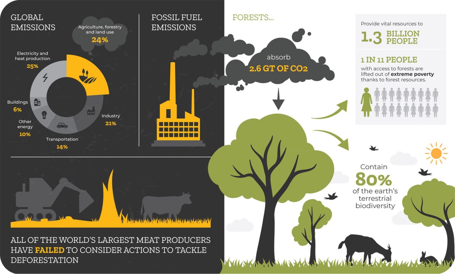 Carbon-emissions-infographic-1900 (1)