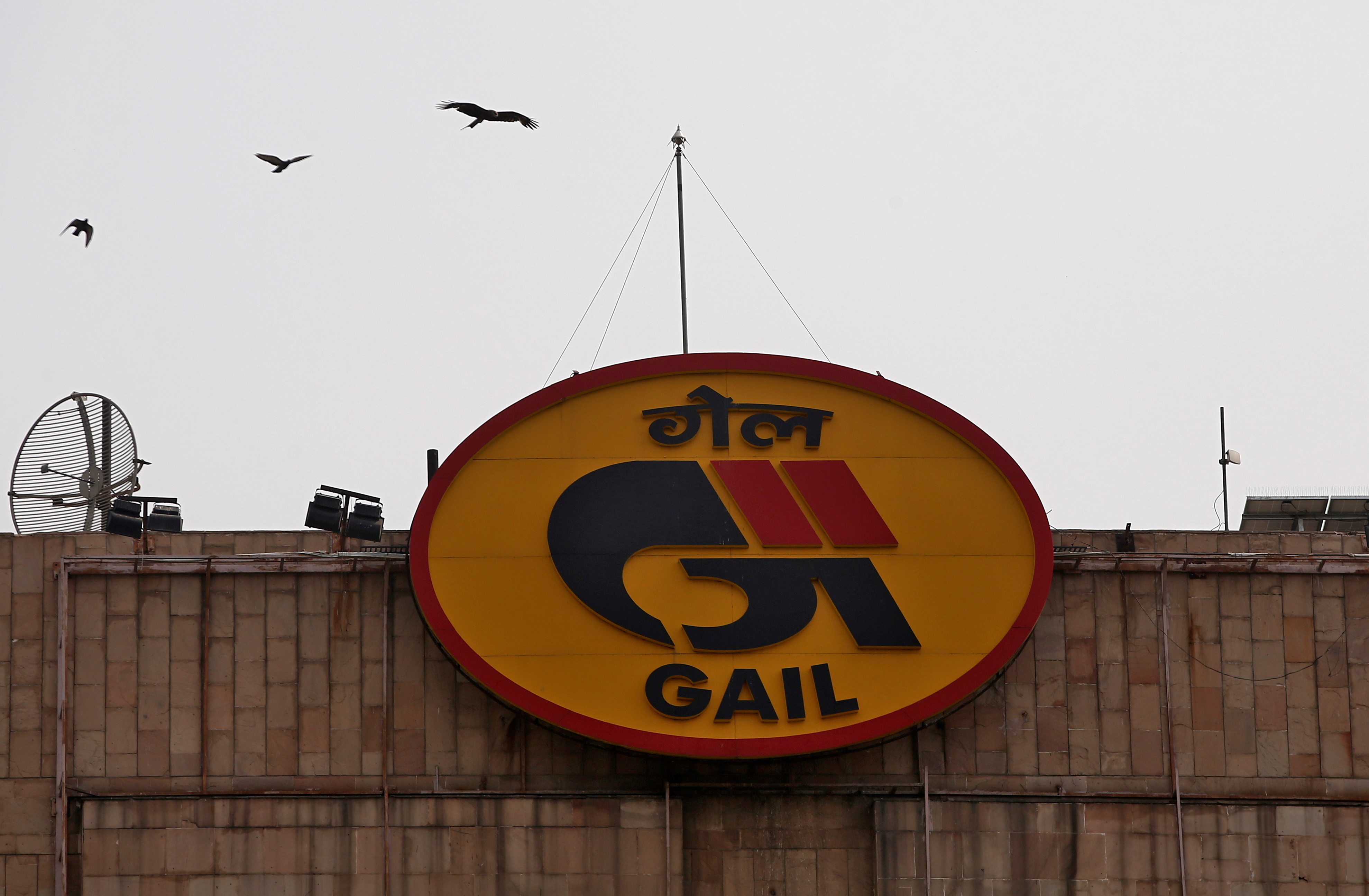 Birds fly past the logo of India's state-owned natural gas utility GAIL (India) Ltd in New Delhi