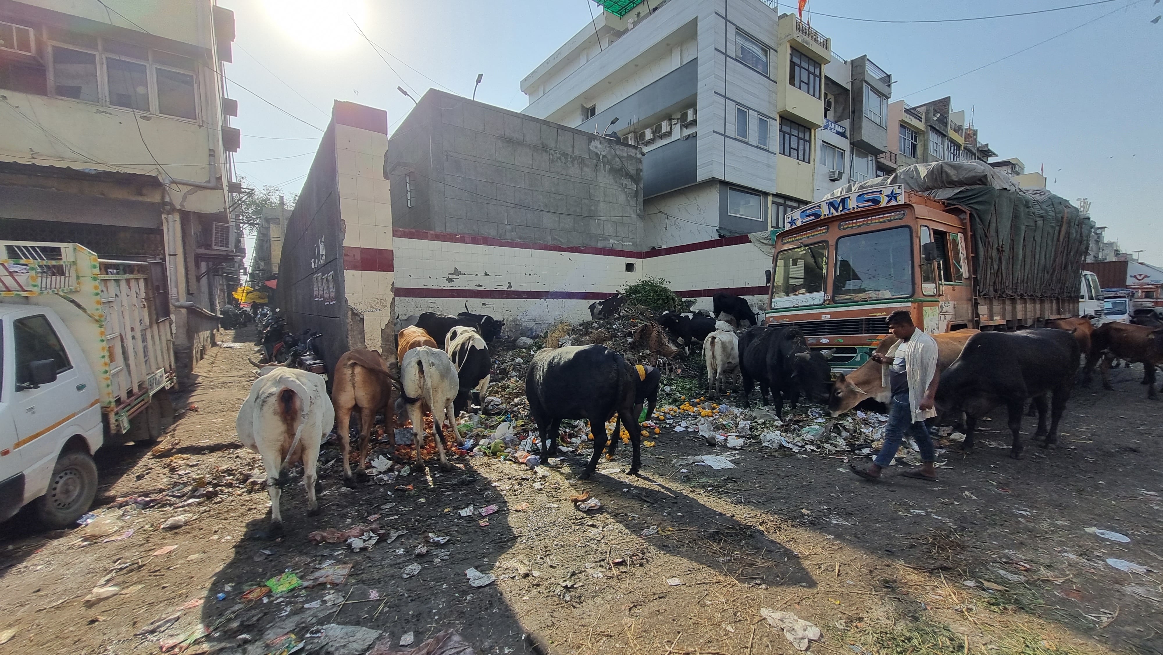 Azadpur Mandi struggles for basic necessities