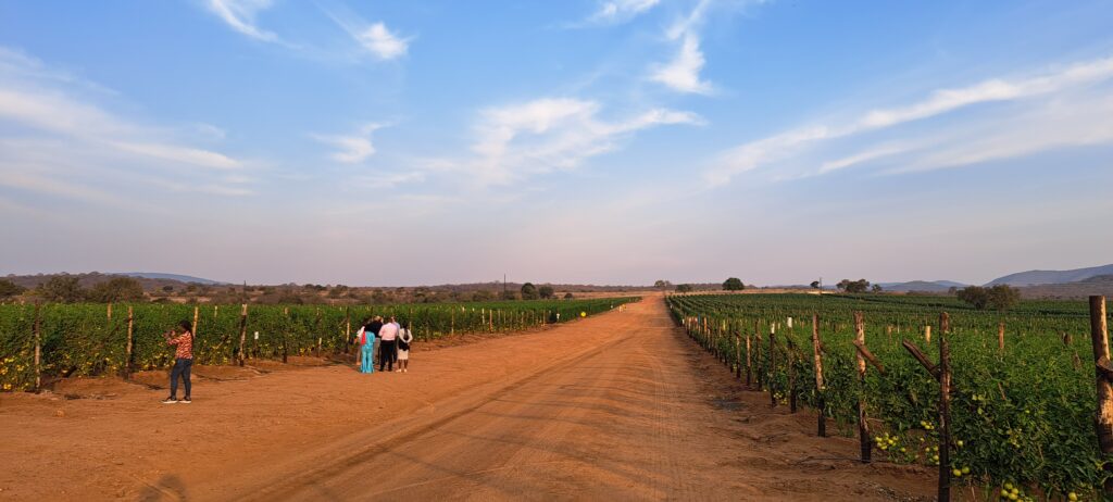 ZZ2 Farming Company