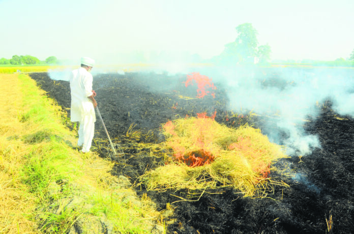 Stubble burning in Patiala