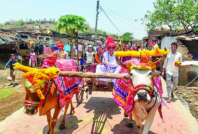 Burhanpur: Voters arrive in bullock carts to cast their votes