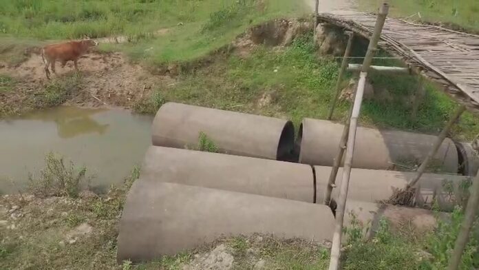 Villagers in this Assam village alleged neglect ahead of Panchayat elections 'They want our votes without development': Villagers in this Assam village alleged neglect ahead of Panchayat elections