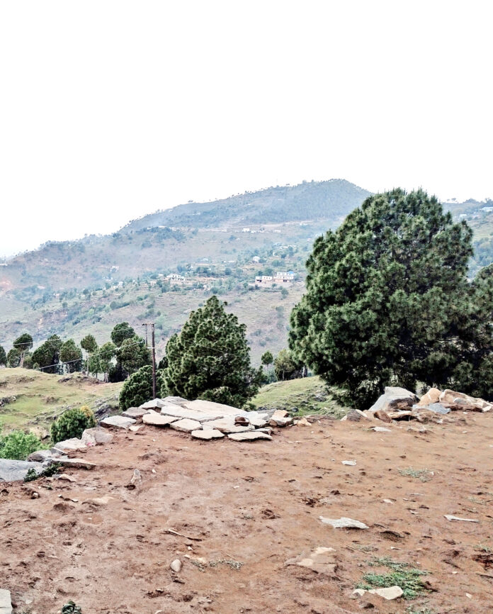 Representational photo: A view of the area where ceasefire violation occurred by Pak Army, in Poonch on Saturday. ANI Representational photo: A view of the area where ceasefire violation occurred by Pak Army, in Poonch on Saturday. ANI