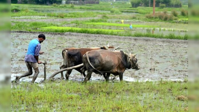 For the financial year 2025–26, the state has set a target to issue KCCs to 25 lakh additional farmers, enabling them to access timely and affordable credit with greater ease. Yogi Government Rolls Out KCC Scheme for 25 Lakh More Farmers in UP