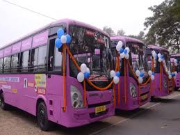 Pink buses of Bihar State Road Transport Corporation Limited (BSRTC) for women passengers lined up, in Patna, on May 16. ANI Pink buses of Bihar State Road Transport Corporation Limited (BSRTC) for women passengers lined up, in Patna, on May 16. ANI