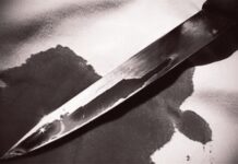 Haryana School Principal Stabbed to Death by Students Over Disciplinary Dispute Haryana School Principal Stabbed to Death