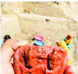Landmark archaeological discoveries by ASI in the land of Krishna